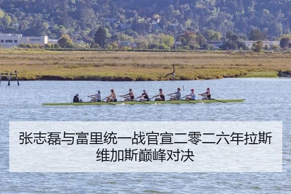 zhang-zhi-lei-yu-fu-li-tong-yi-zhan-guan-xuan-er-ling-er-liu-nian-la-si-wei-jia-si-dian-feng-dui-jue-2-232.jpg